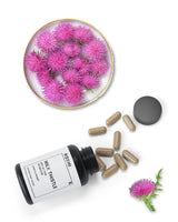 MILK THISTLE